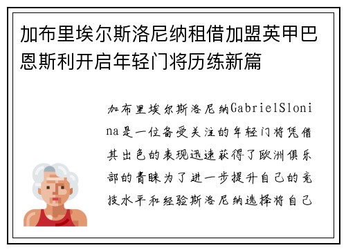 加布里埃尔斯洛尼纳租借加盟英甲巴恩斯利开启年轻门将历练新篇